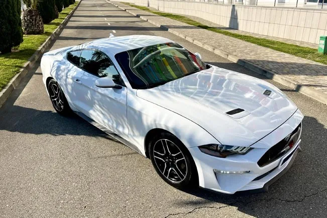 Ford в Сочи